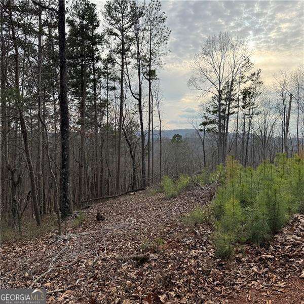316 Pebble Trace Street Ellijay GA 30540
