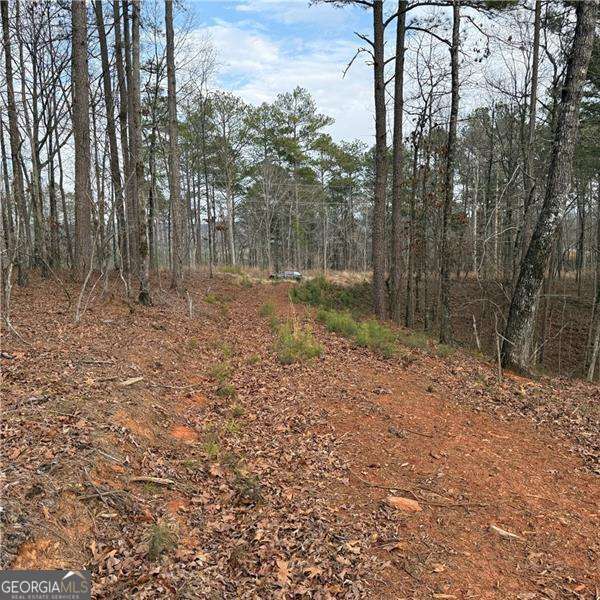 316 Pebble Trace Street Ellijay GA 30540