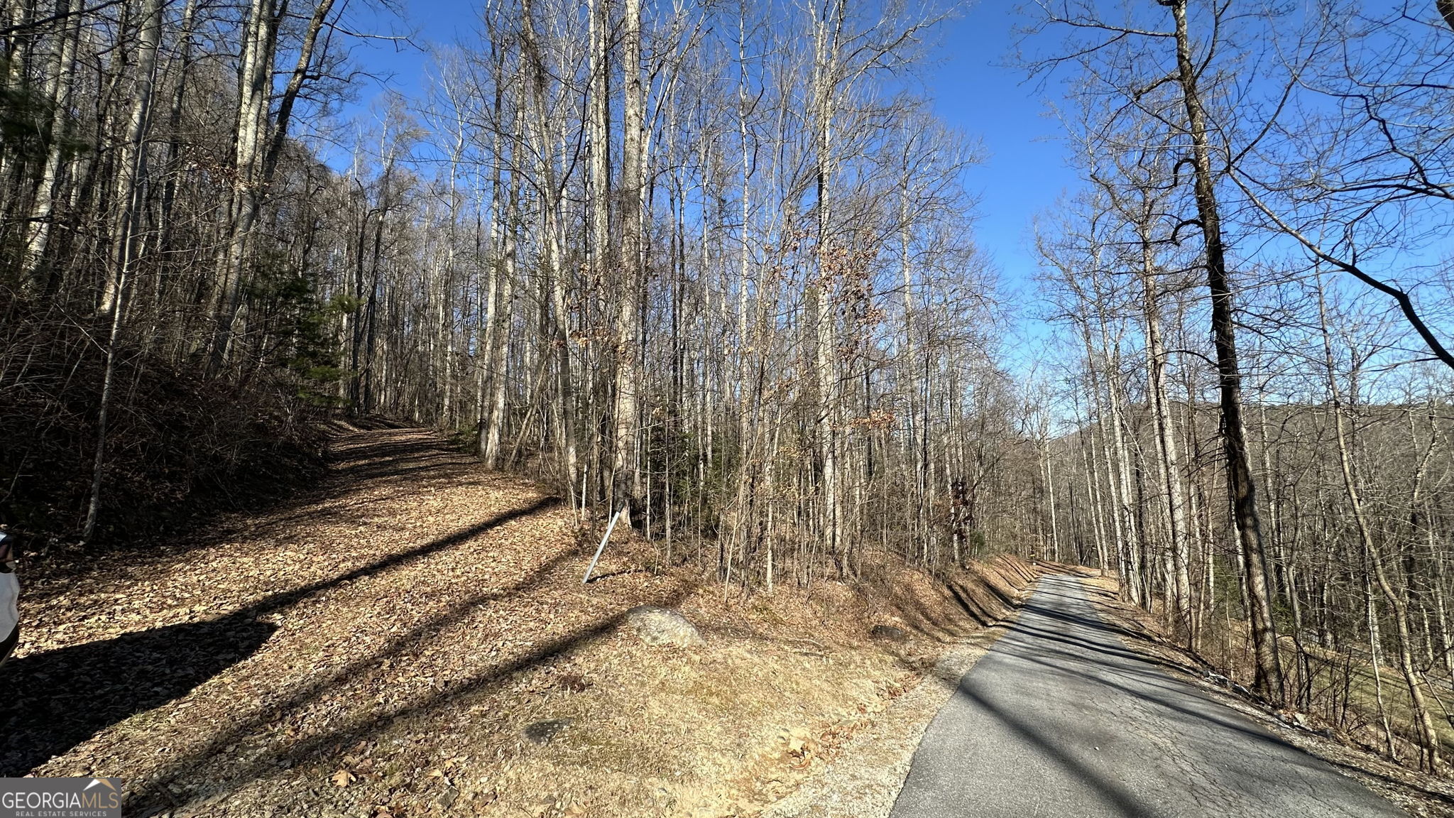 710 Northridge Drive Tiger GA 30576
