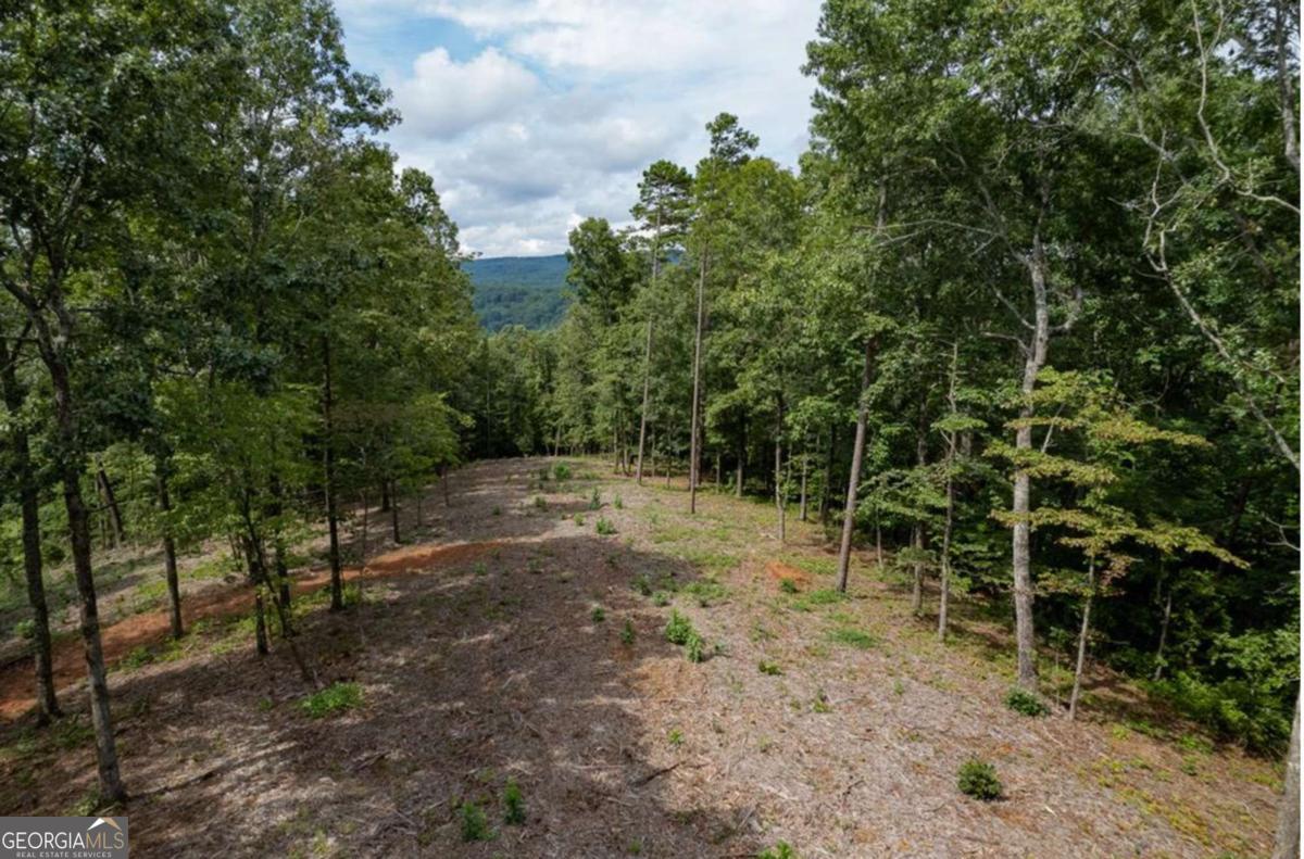 Lot 315 Pebble Trace Talking Rock GA 30175