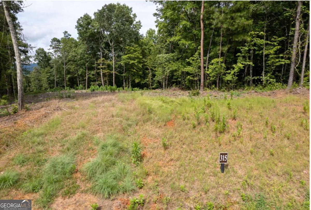 Lot 315 Pebble Trace Talking Rock GA 30175