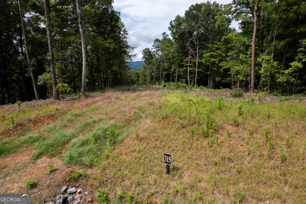Lot 315 Pebble Trace Talking Rock GA 30175