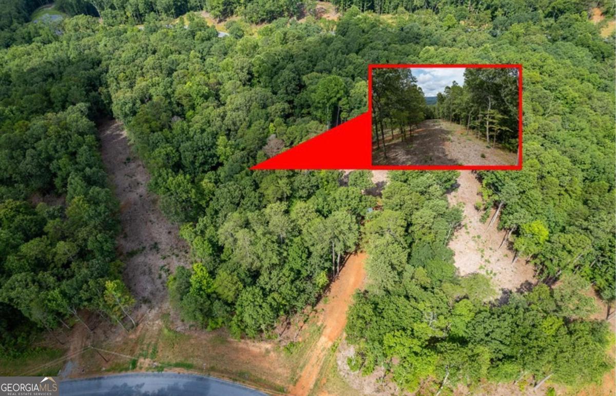 Lot 315 Pebble Trace Talking Rock GA 30175