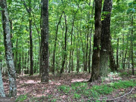 Lt G667-g68 Mountain Oak Road Ellijay GA 30536