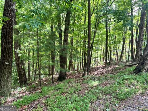 Lt G667-g68 Mountain Oak Road Ellijay GA 30536