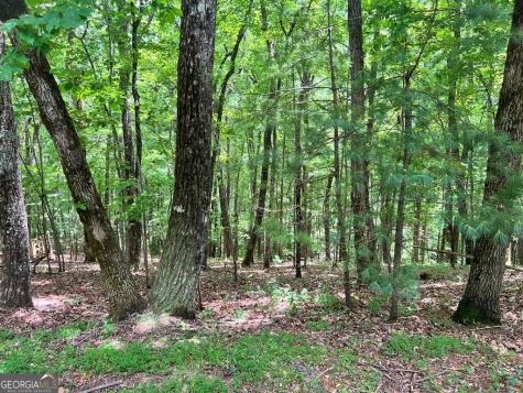 Lt G667-g68 Mountain Oak Road Ellijay GA 30536