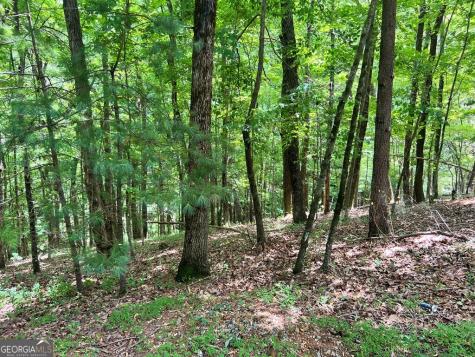 Lt G667-g68 Mountain Oak Road Ellijay GA 30536