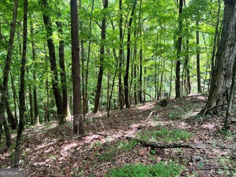 Lt G667-g68 Mountain Oak Road Ellijay GA 30536