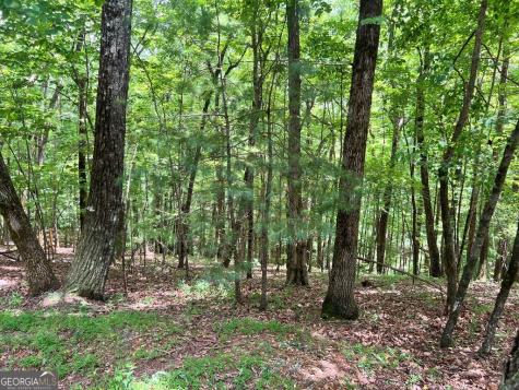 Lt G667-g68 Mountain Oak Road Ellijay GA 30536