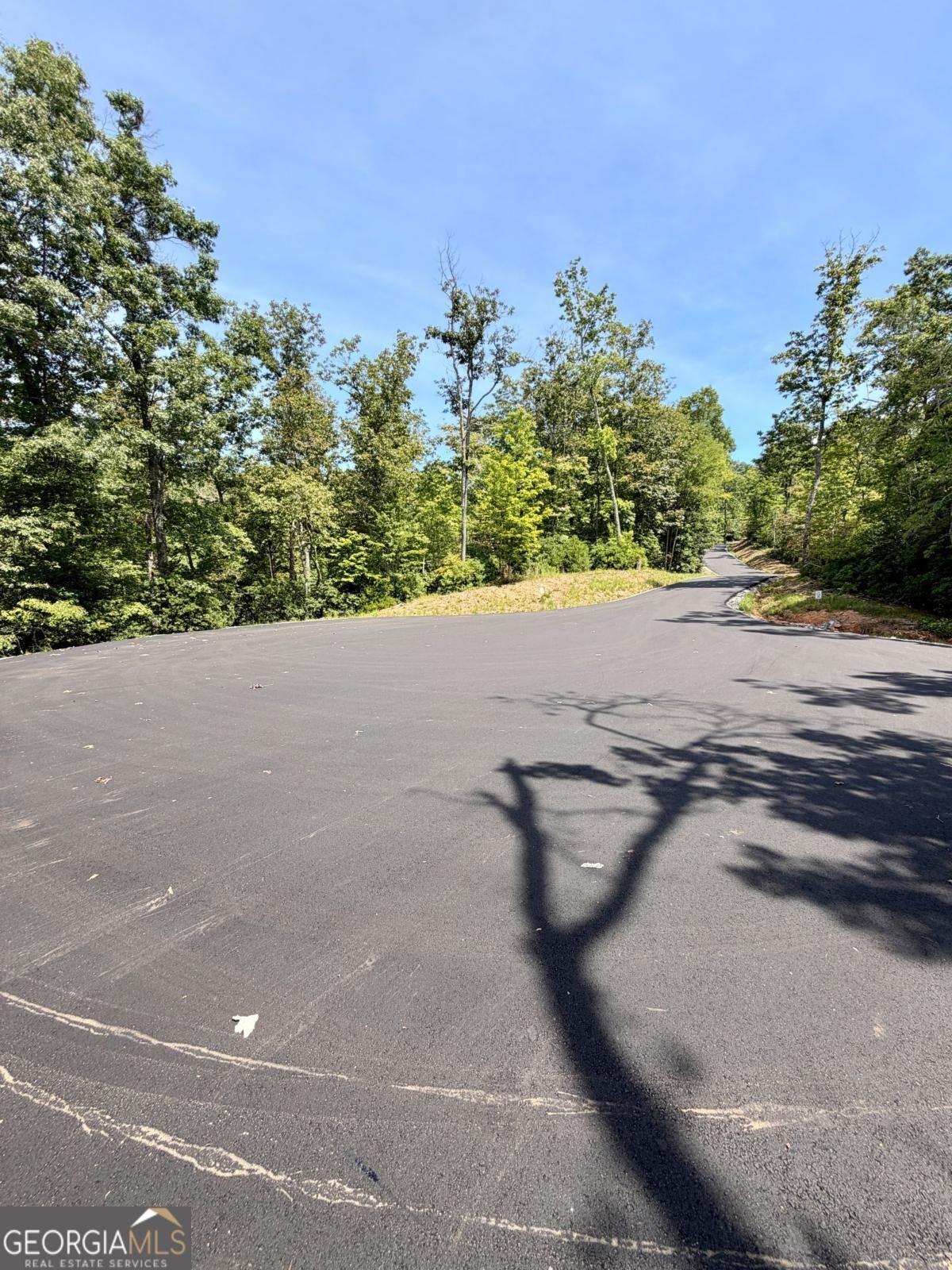 Lot 17 Turquoise Ridge Blue Ridge GA 30513
