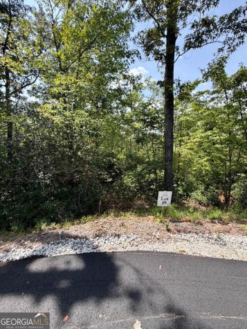 Lot 17 Turquoise Ridge Blue Ridge GA 30513