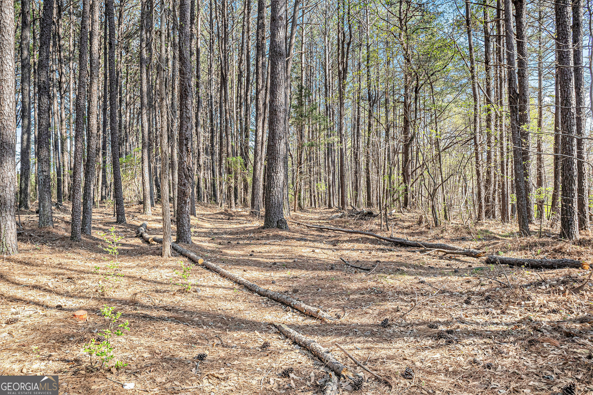 681 County Line Auburn Road Winder GA 30680