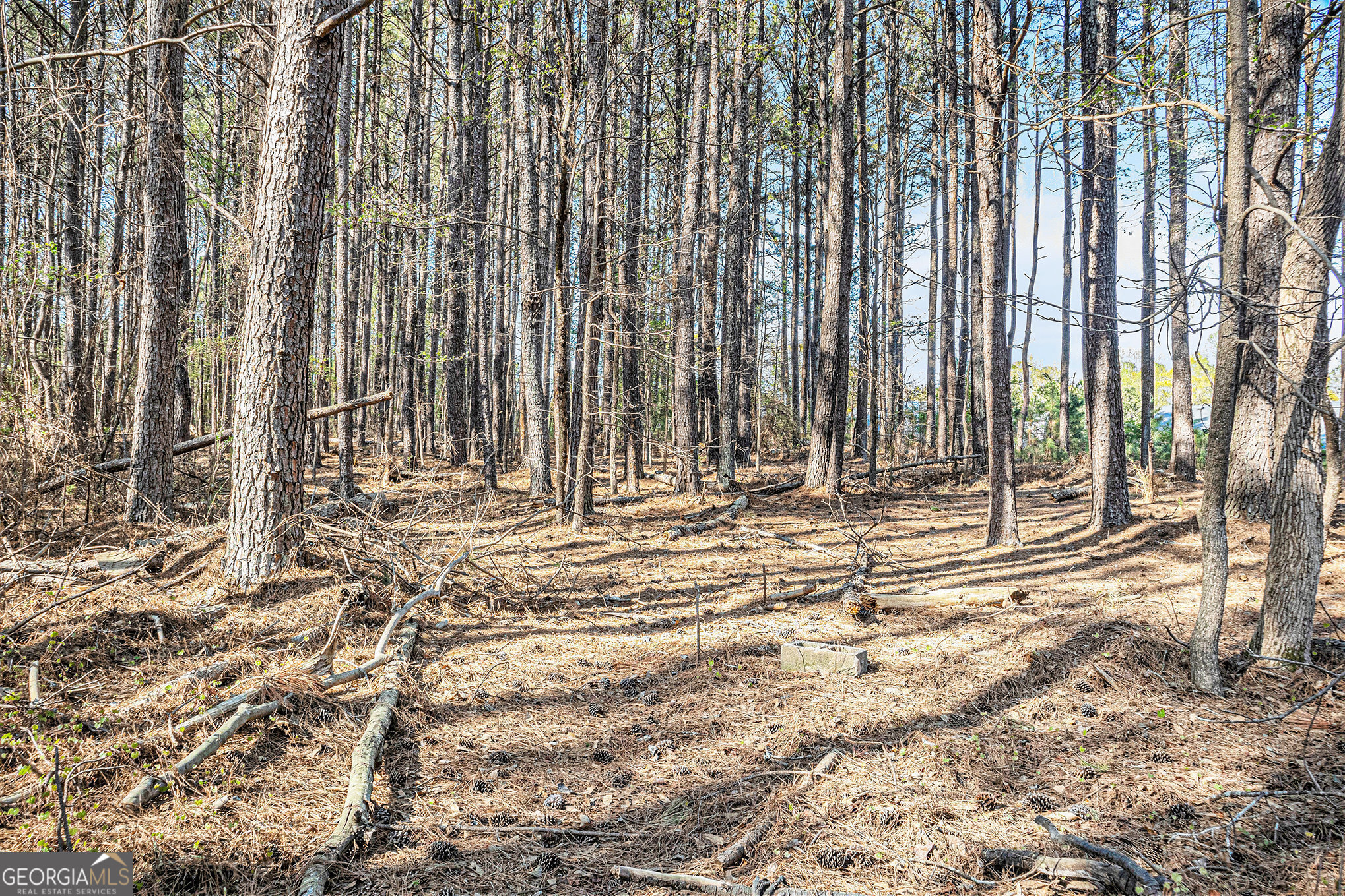 681 County Line Auburn Road Winder GA 30680