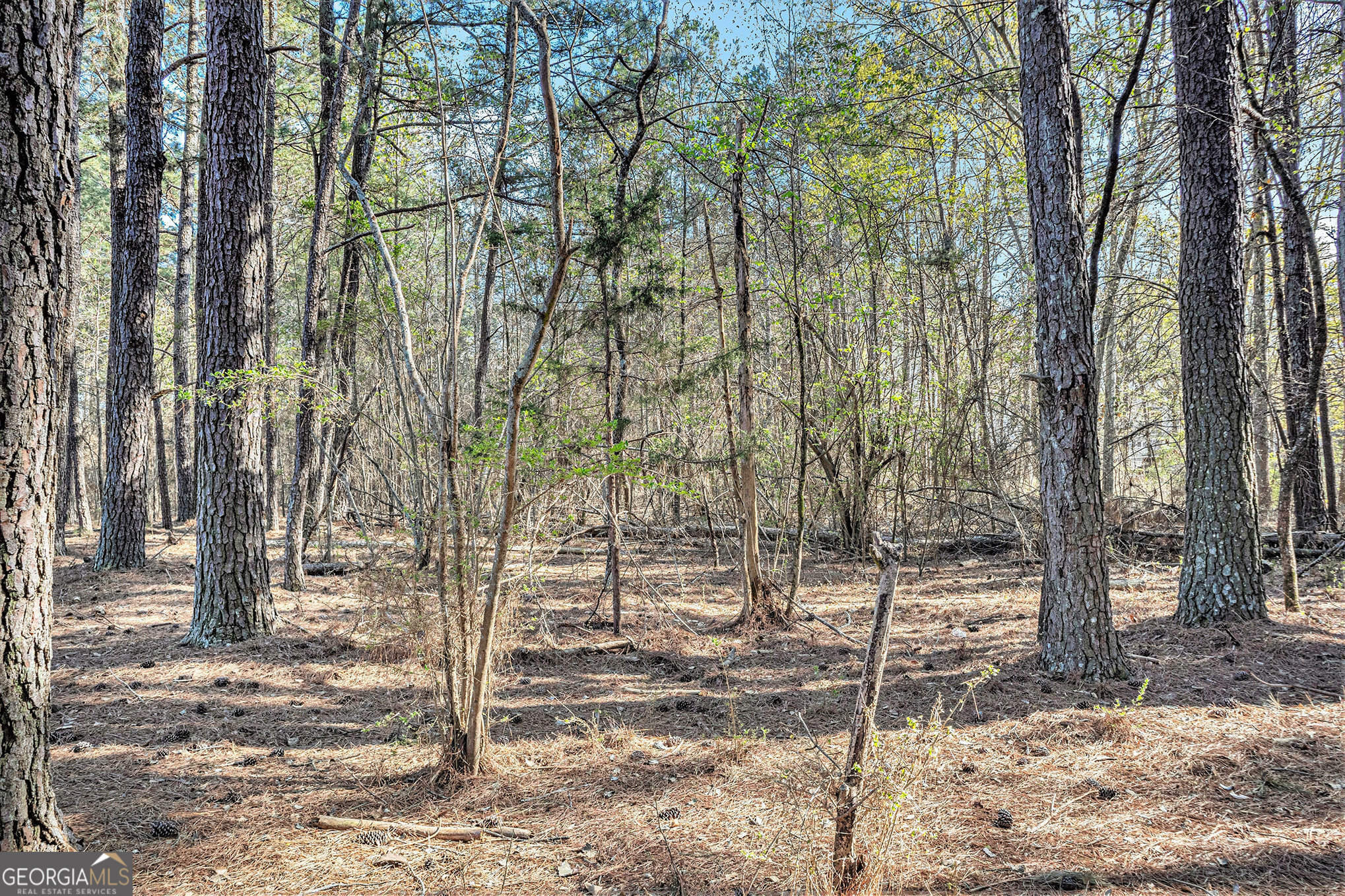 681 County Line Auburn Road Winder GA 30680