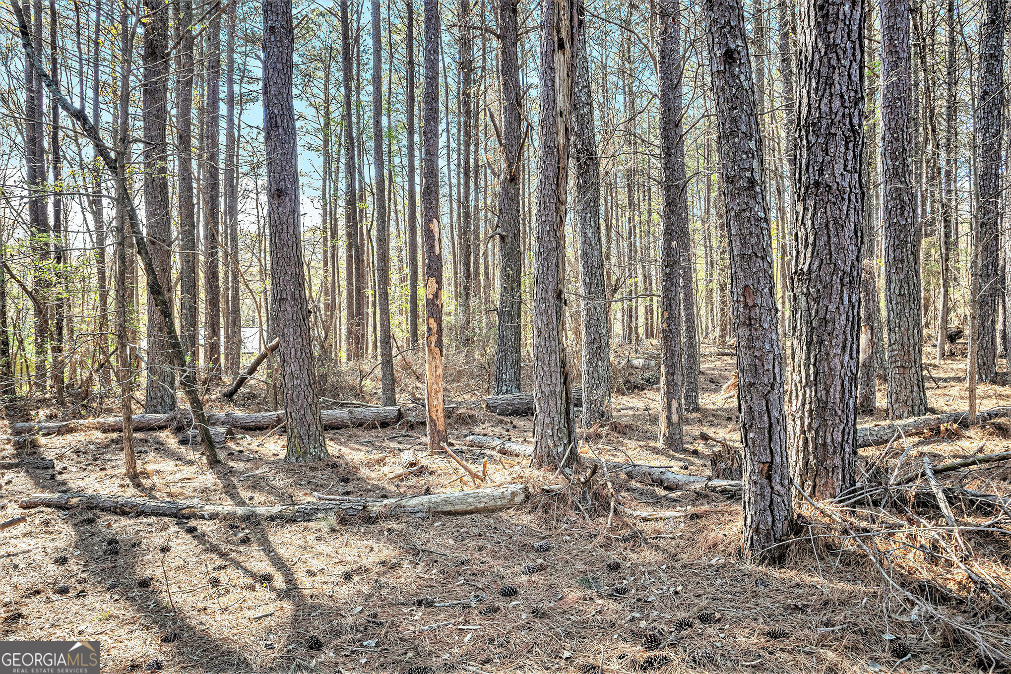 681 County Line Auburn Road Winder GA 30680