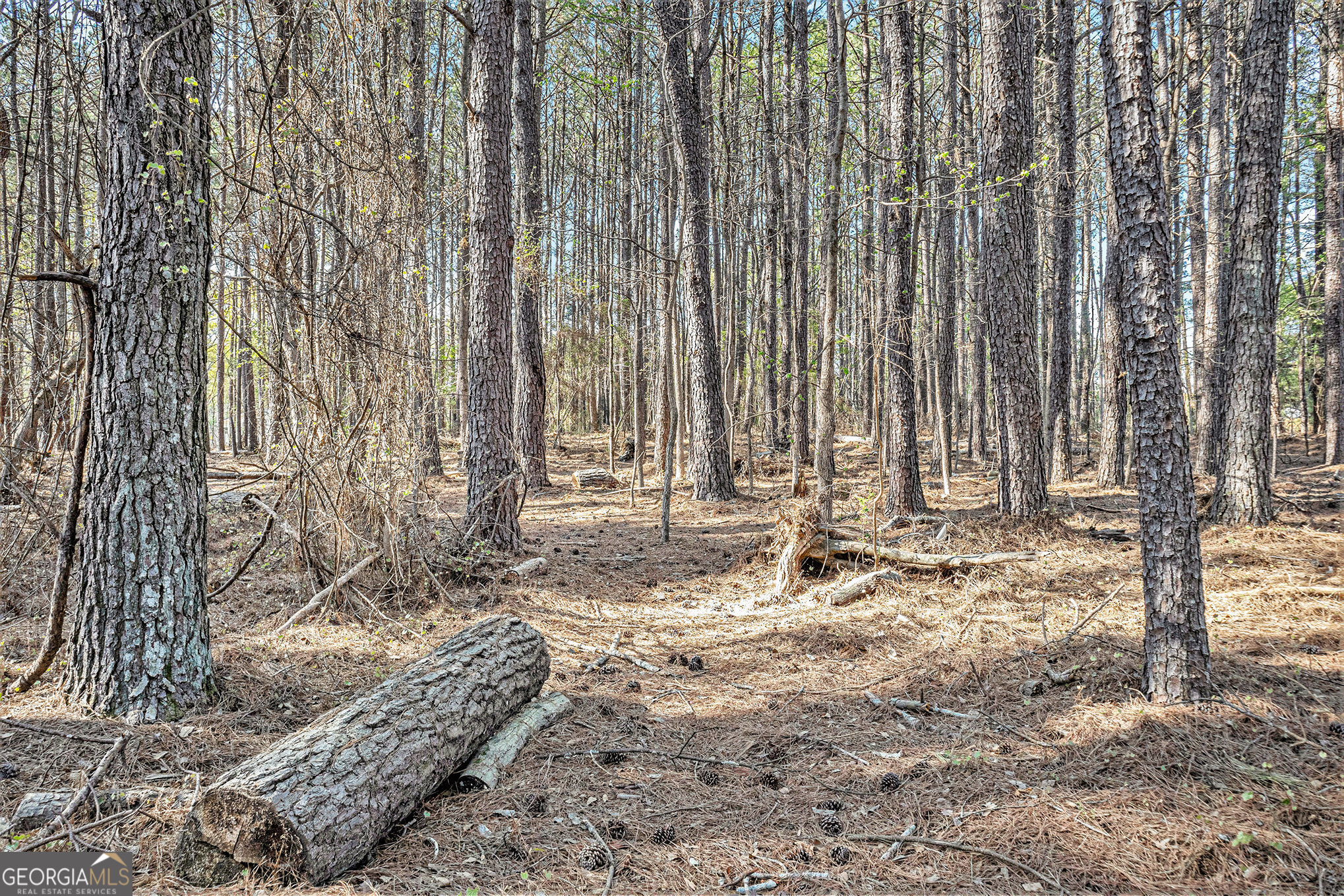 681 County Line Auburn Road Winder GA 30680