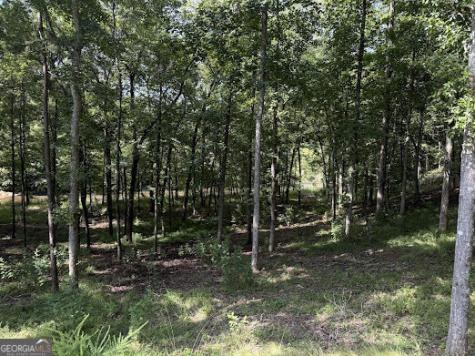 331 Rushing River Road Talking Rock GA 30175