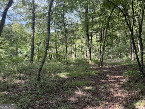 331 Rushing River Road Talking Rock GA 30175
