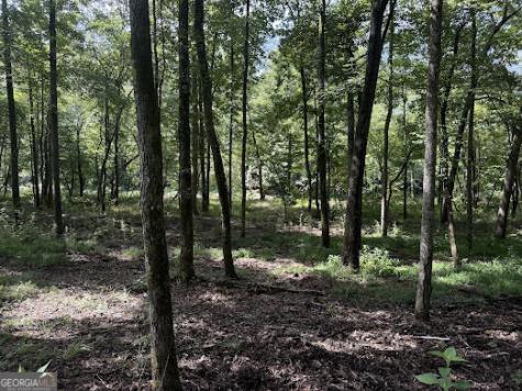 331 Rushing River Road Talking Rock GA 30175