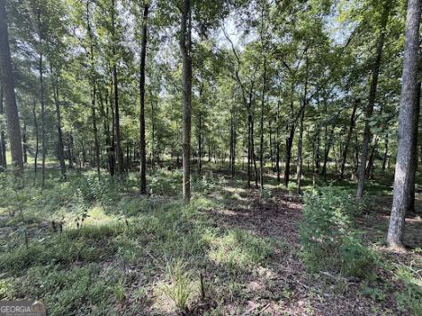 331 Rushing River Road Talking Rock GA 30175
