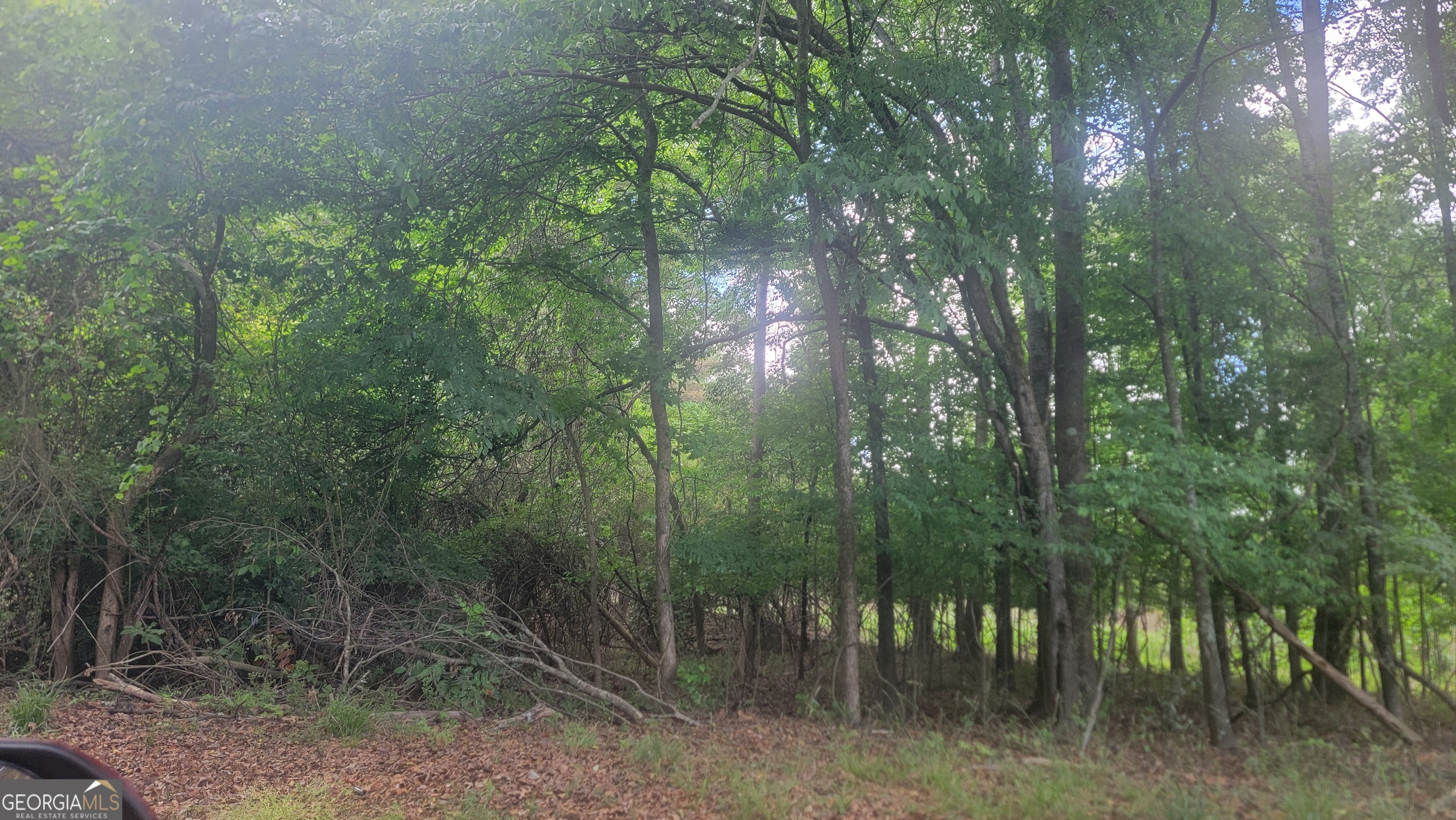 0 Lester Road Athens GA 30607