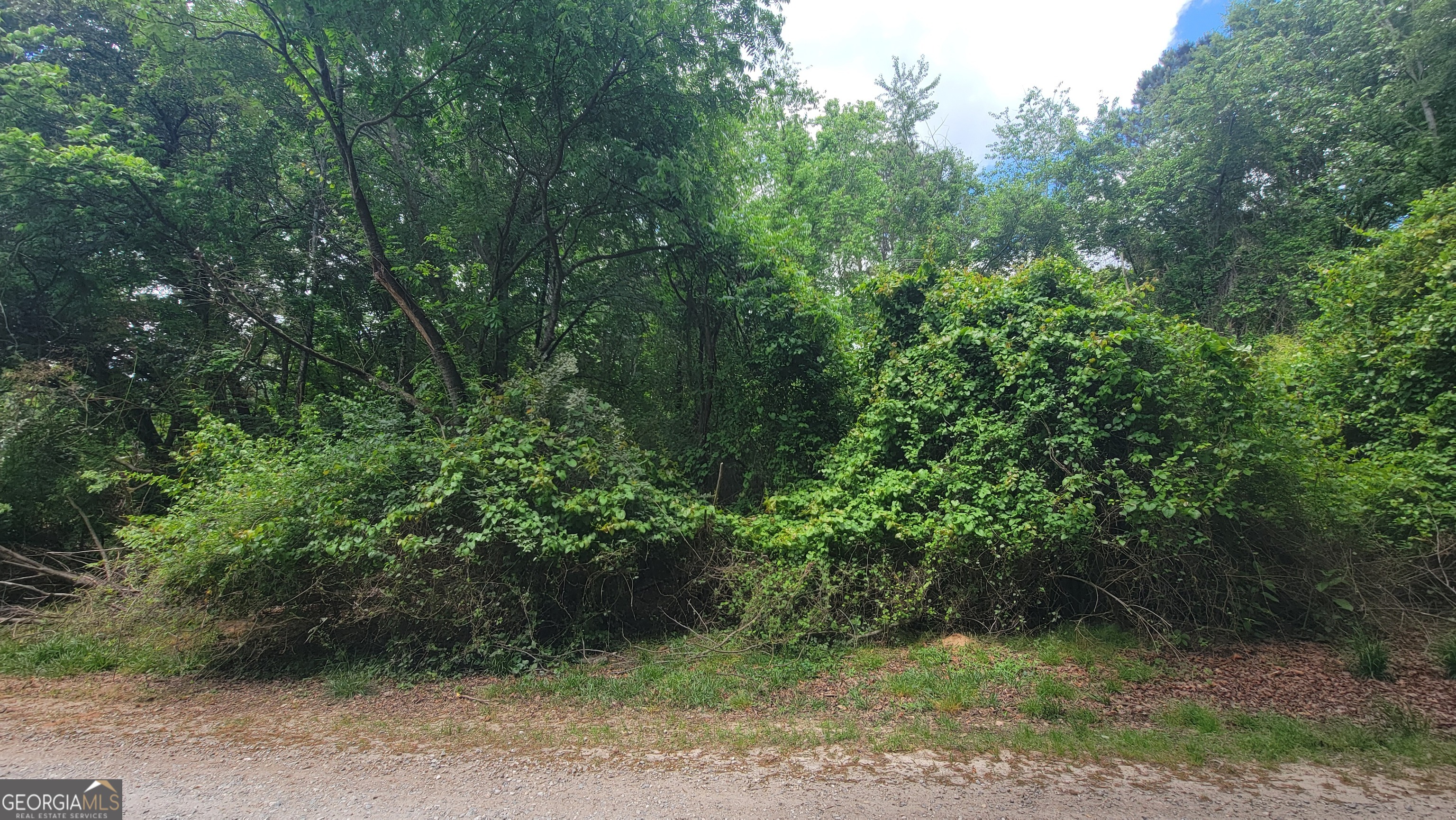 0 Lester Road Athens GA 30607