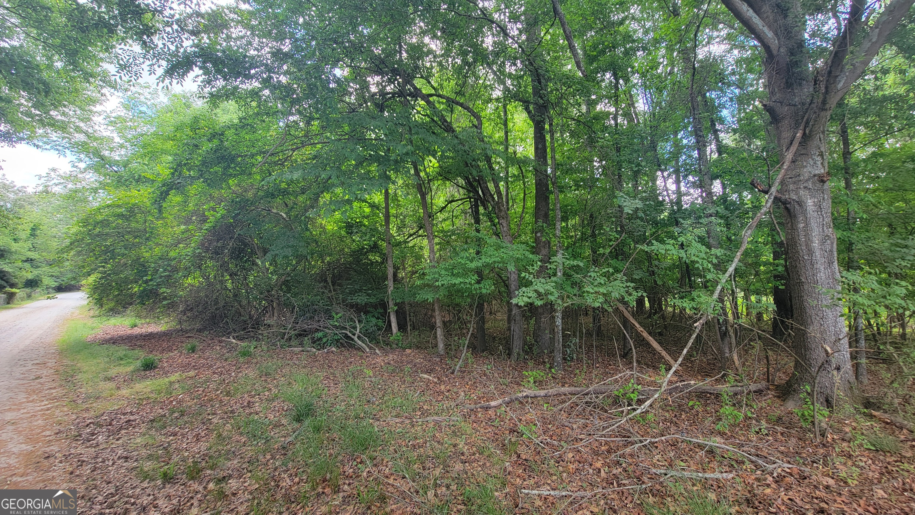 0 Lester Road Athens GA 30607