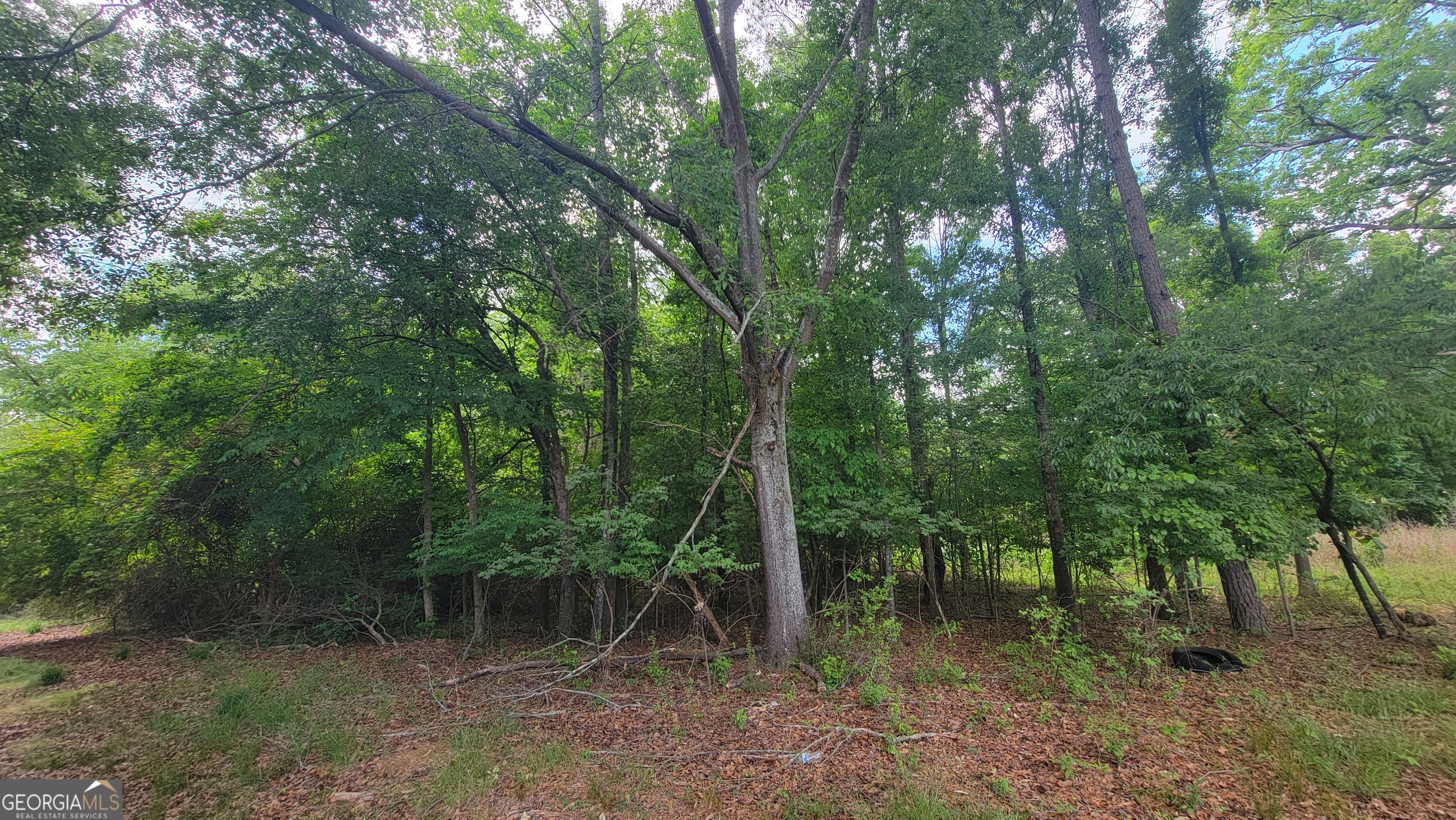 0 Lester Road Athens GA 30607