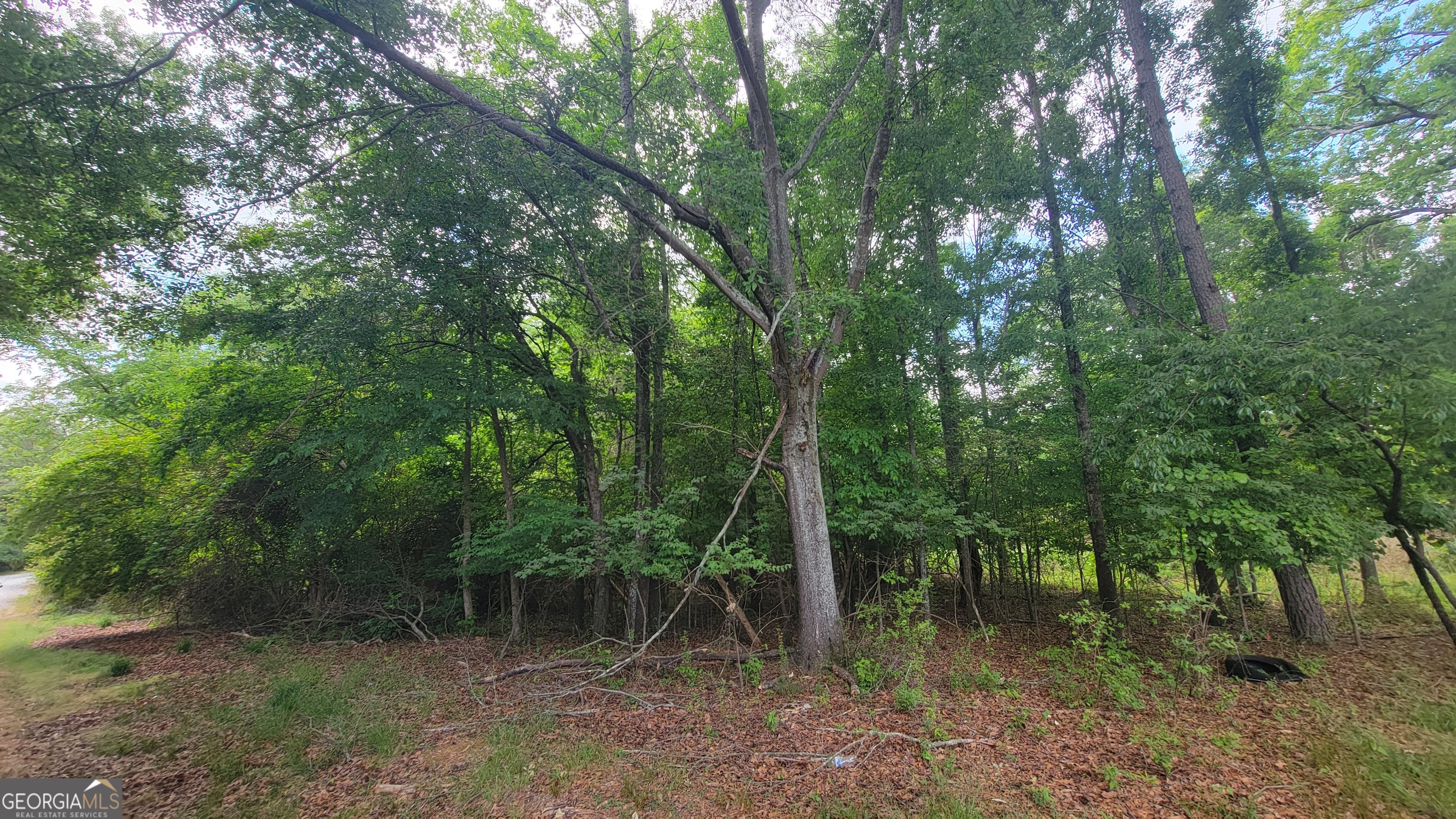 0 Lester Road Athens GA 30607