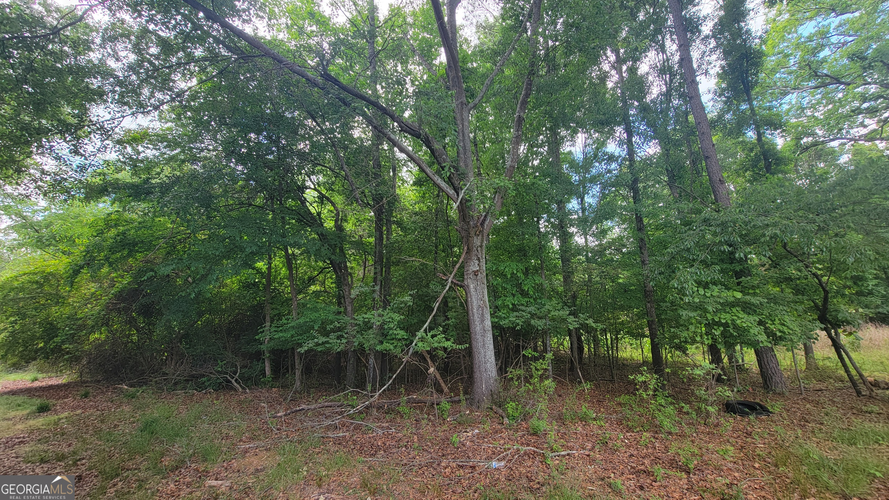 0 Lester Road Athens GA 30607