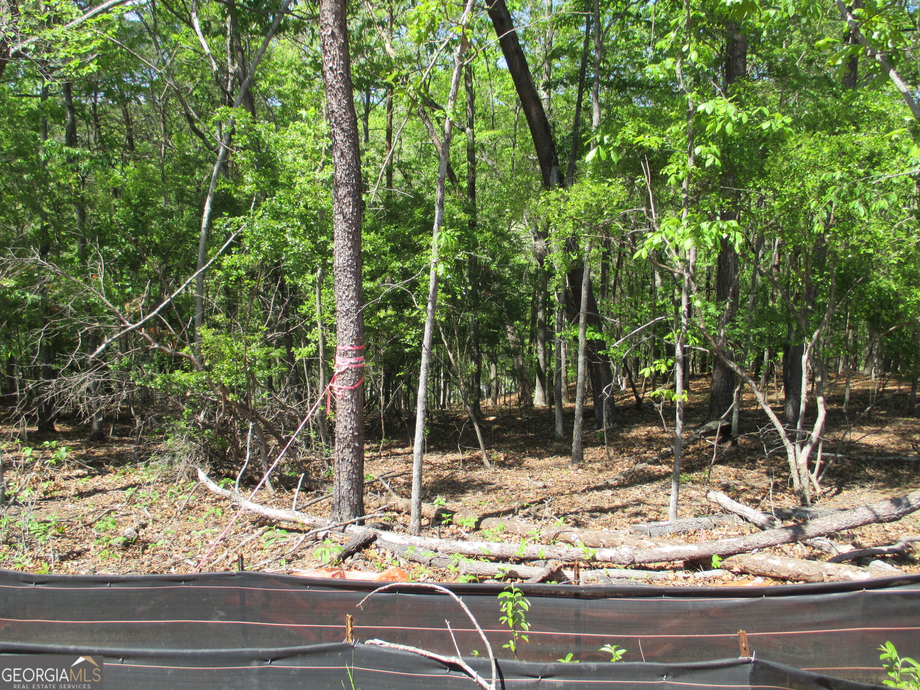 0 Morrison Moore Parkway E Dahlonega GA 30533