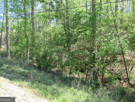 0 Morrison Moore Parkway E Dahlonega GA 30533