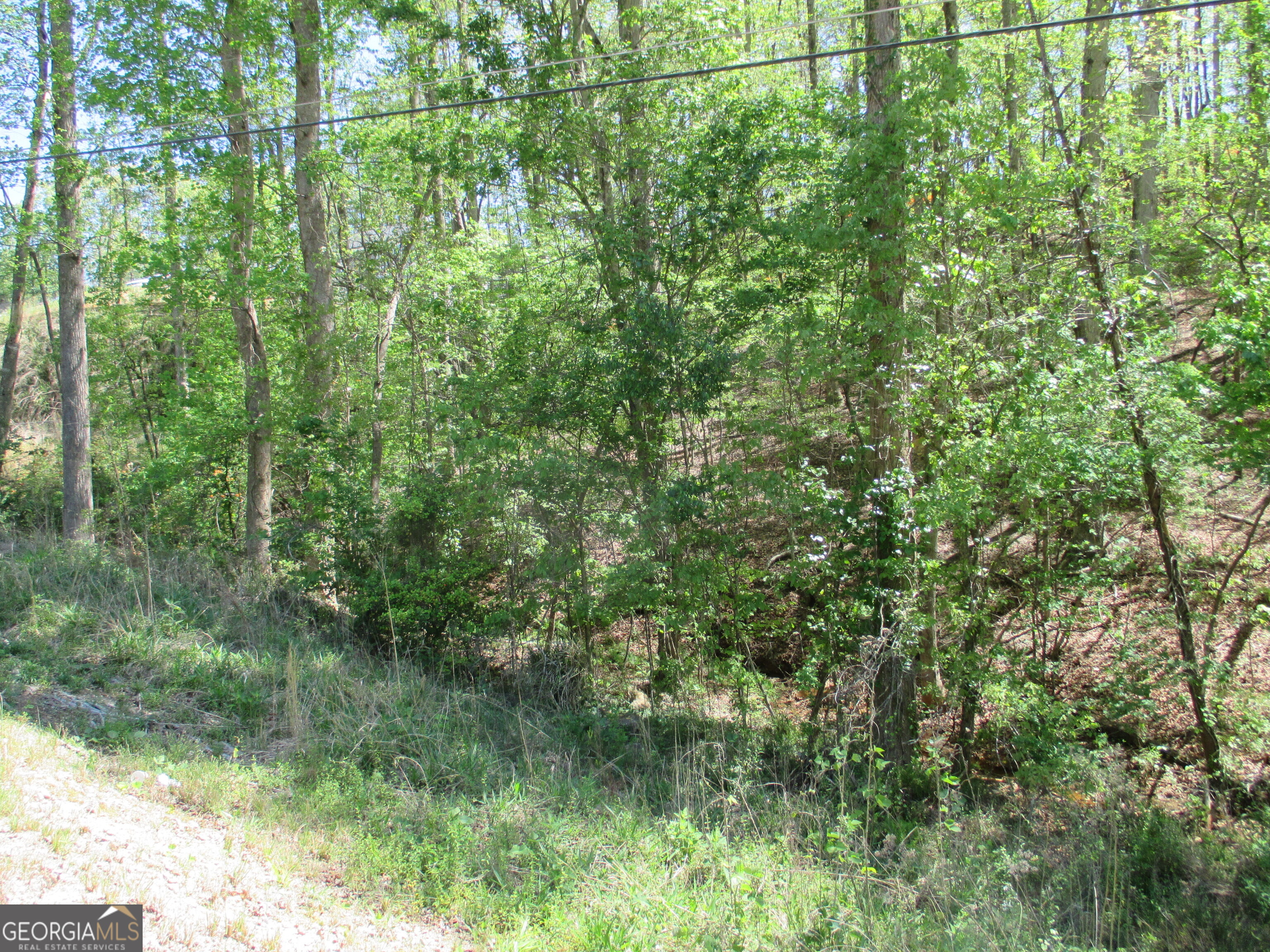0 Morrison Moore Parkway E Dahlonega GA 30533