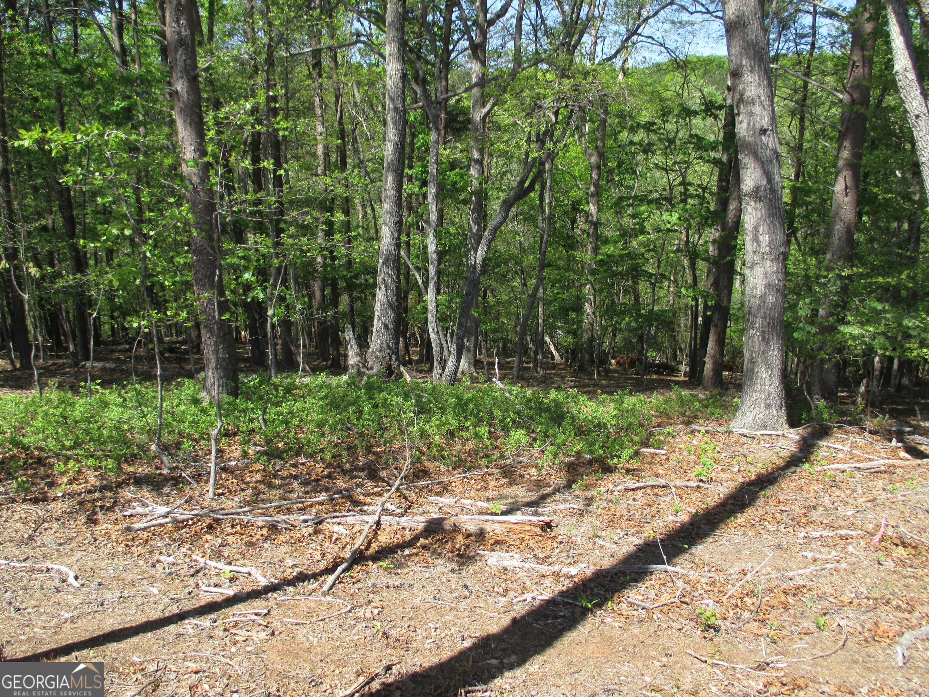 0 Morrison Moore Parkway E Dahlonega GA 30533