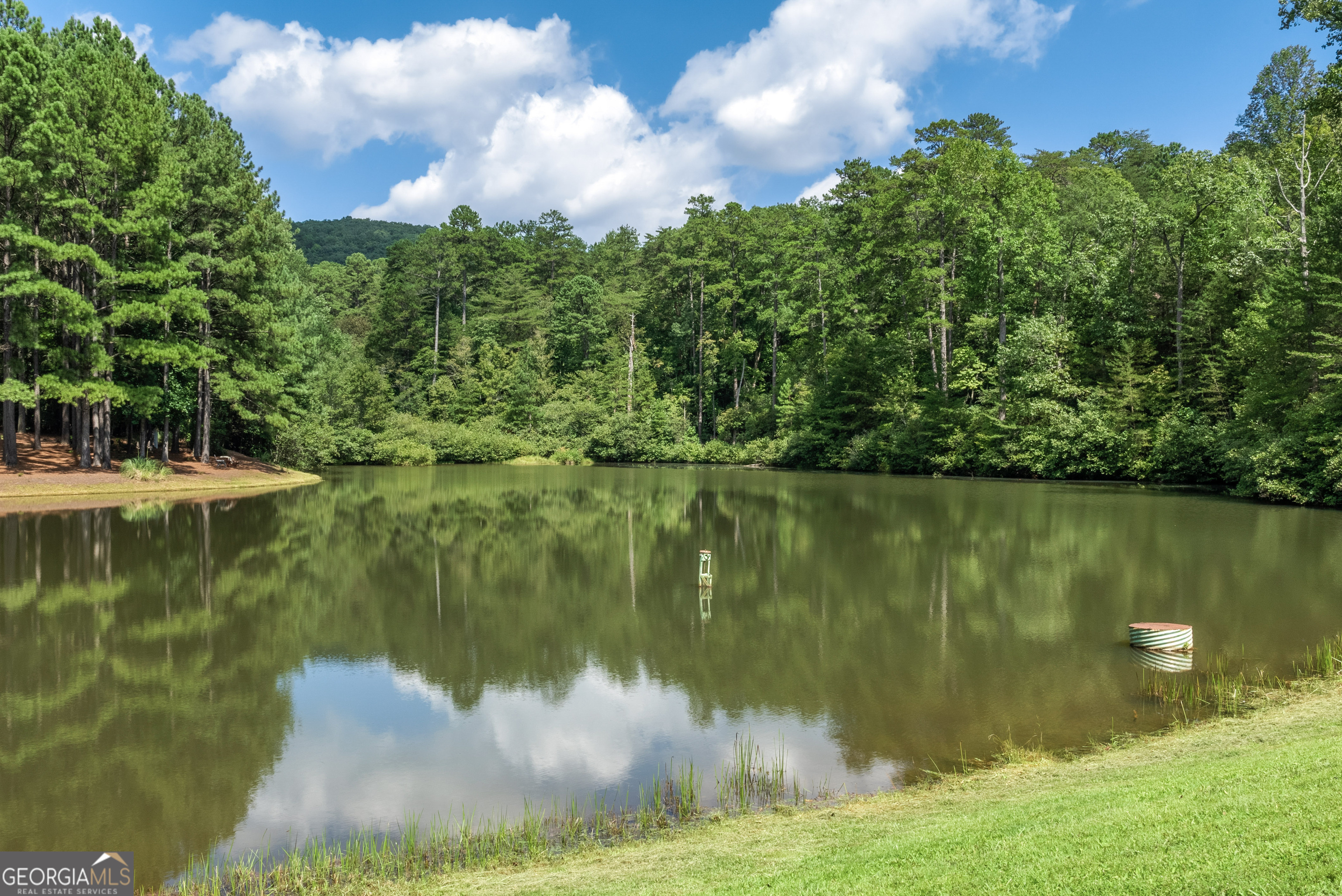 0 Golden Lane Clarkesville GA 30523