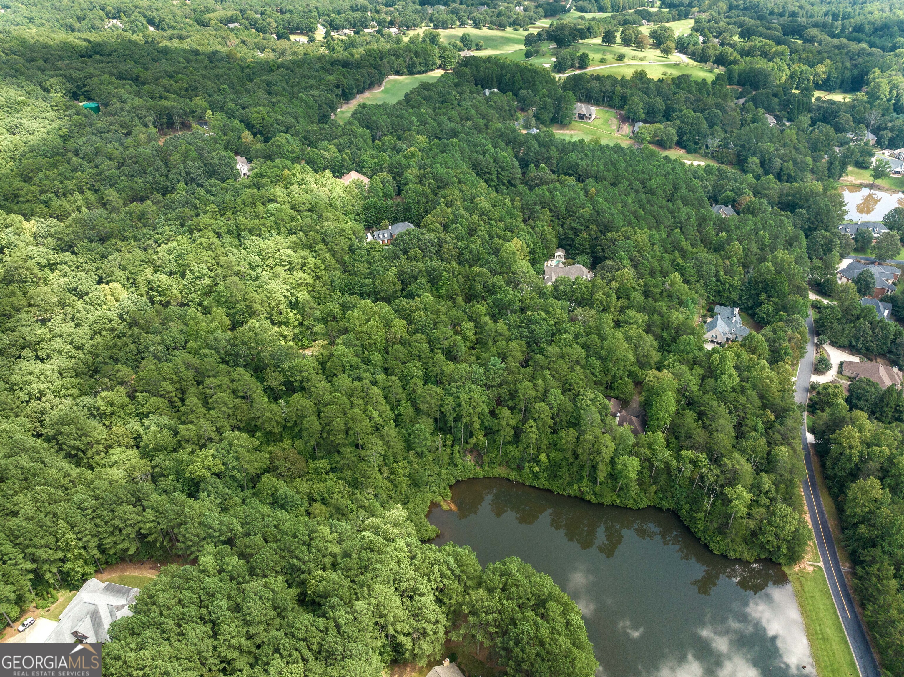 0 Golden Lane Clarkesville GA 30523