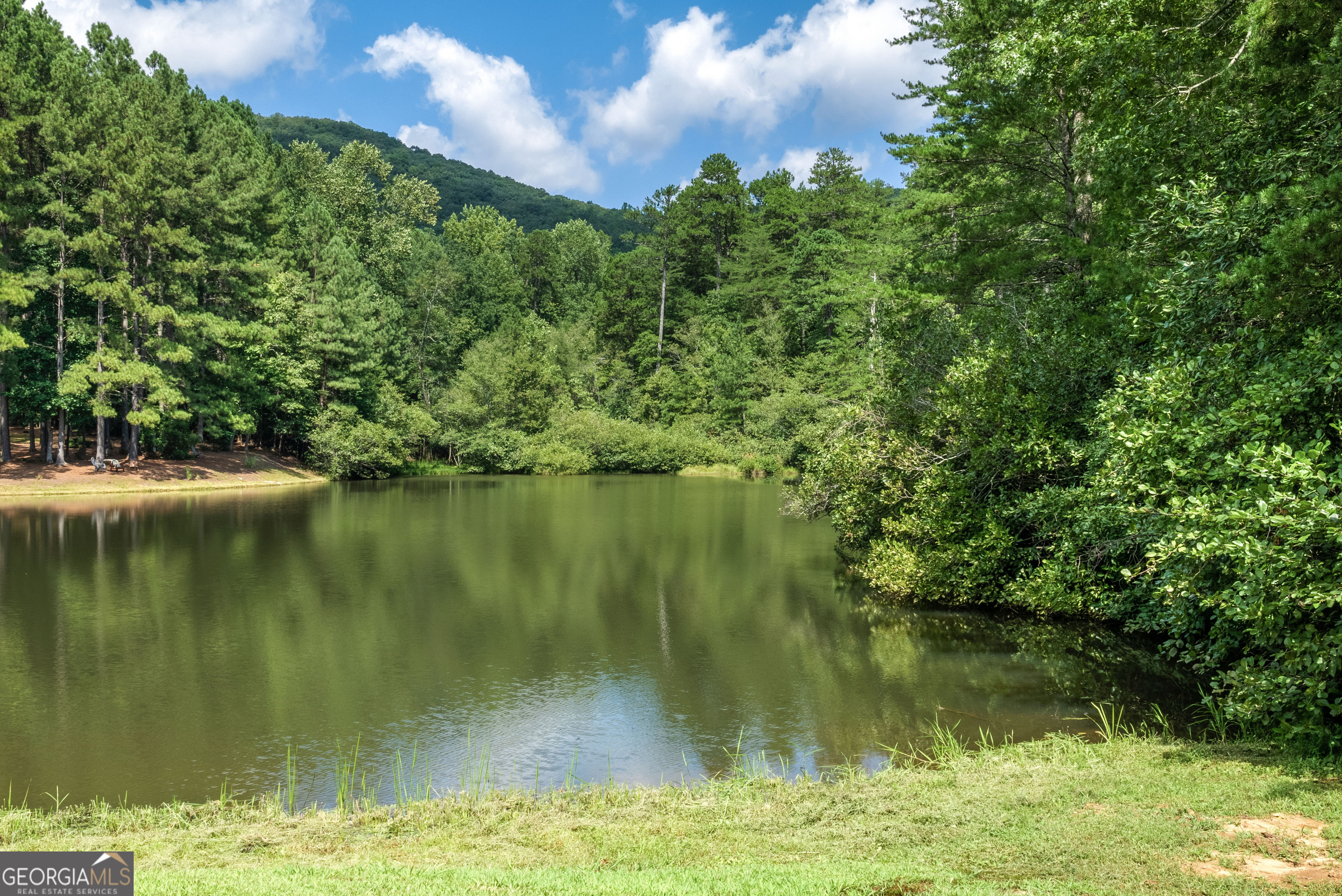 0 Golden Lane Clarkesville GA 30523