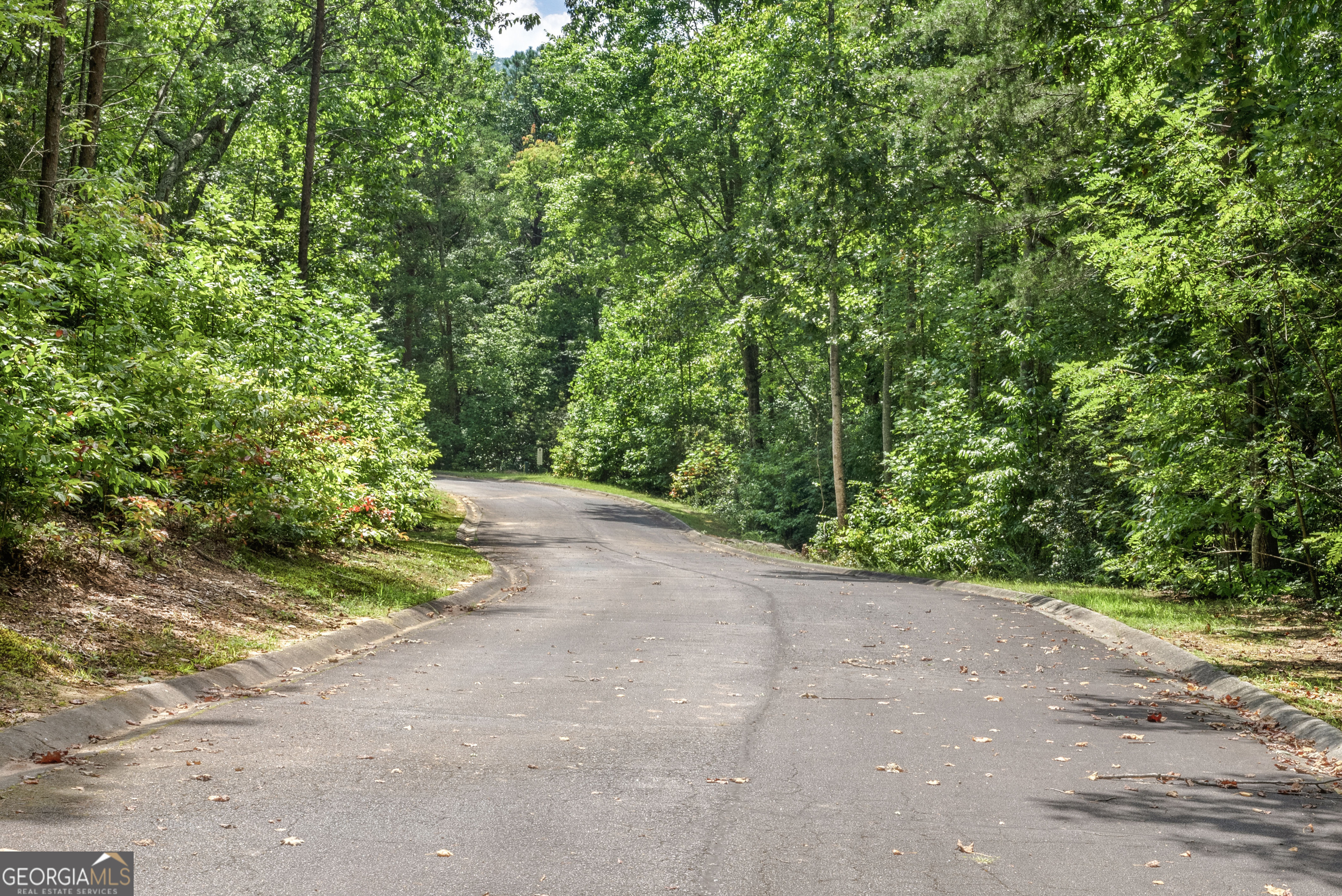 0 Golden Lane Clarkesville GA 30523