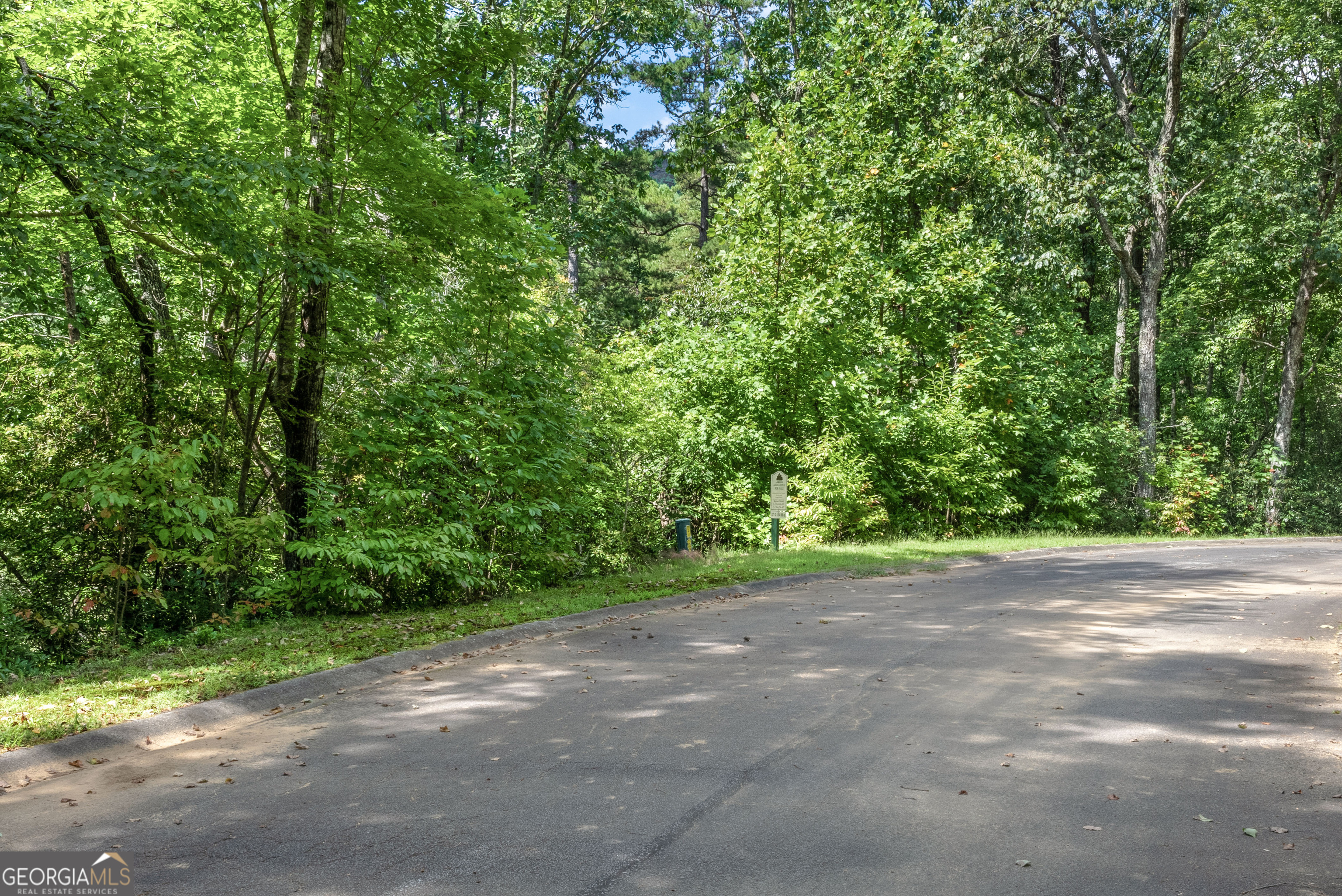 0 Golden Lane Clarkesville GA 30523