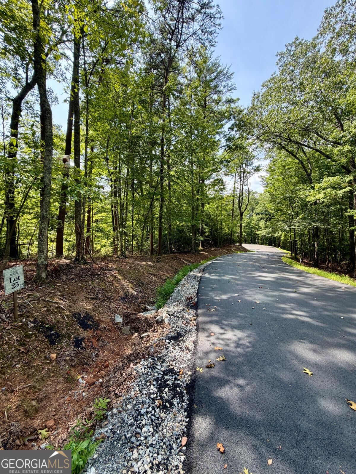 Lot 25 Prospect Ridge Blue Ridge GA 30513