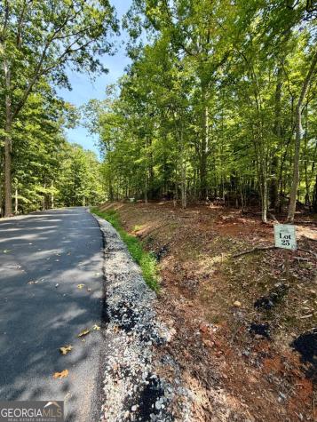 Lot 25 Prospect Ridge Blue Ridge GA 30513
