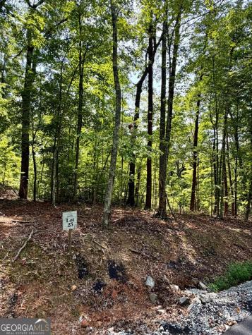 Lot 25 Prospect Ridge Blue Ridge GA 30513