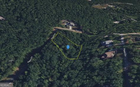 295 Pippin Circle Clarkesville GA 30523