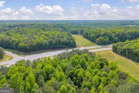 0 U Hwy 441 S Nicholson GA 30565