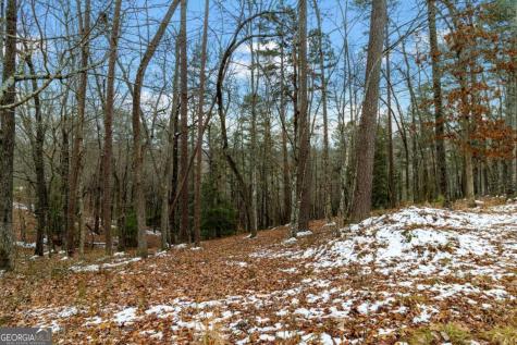Lot 5 Curtis Ridge Road Blue Ridge GA 30513