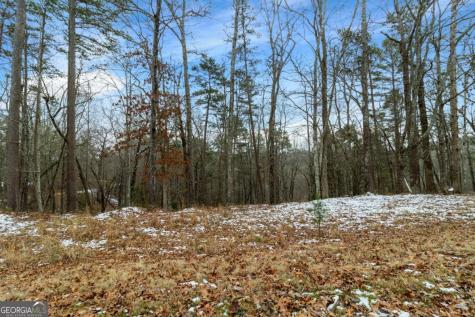 Lot 5 Curtis Ridge Road Blue Ridge GA 30513