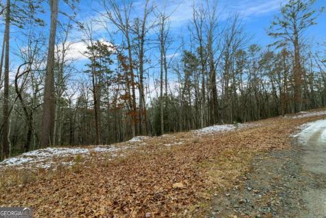 Lot 5 Curtis Ridge Road Blue Ridge GA 30513