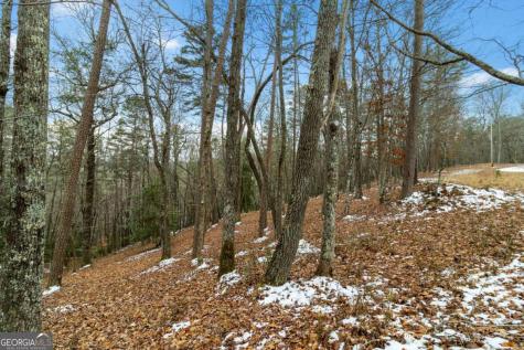 Lot 5 Curtis Ridge Road Blue Ridge GA 30513
