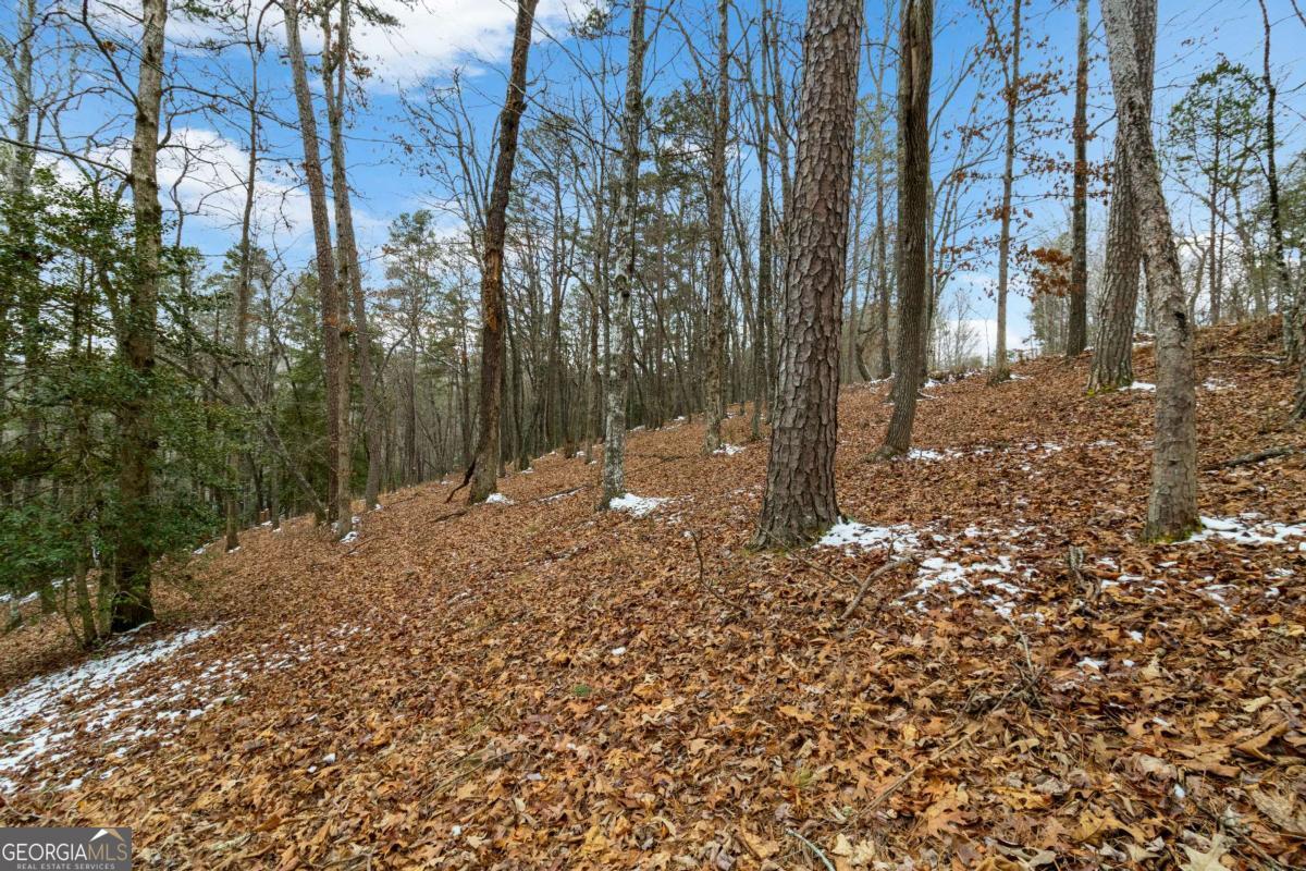 Lot 5 Curtis Ridge Road Blue Ridge GA 30513