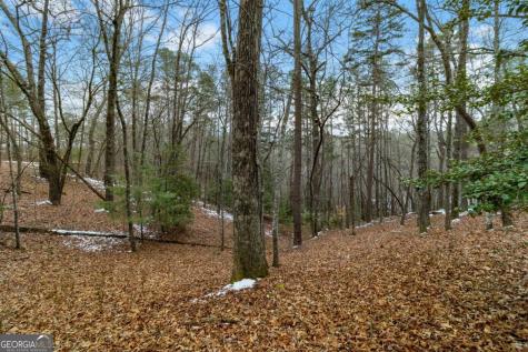 Lot 5 Curtis Ridge Road Blue Ridge GA 30513